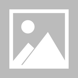 半岛体育APP-『老梁说球』卫冕冠军葡萄牙队实力不降反升